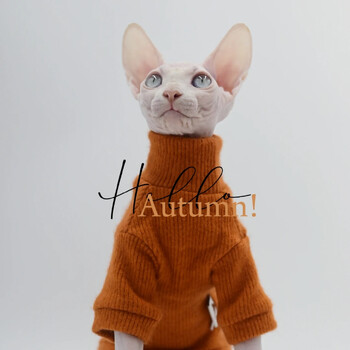 DUOMASUMI Κομψό ζεστό πουλόβερ γάτας Sphynx Fashion Kitty Άνετο ρουχισμό για γάτα γατούλα άτριχα Χειμερινό φόρεμα για ρούχα για γάτες Sphynx