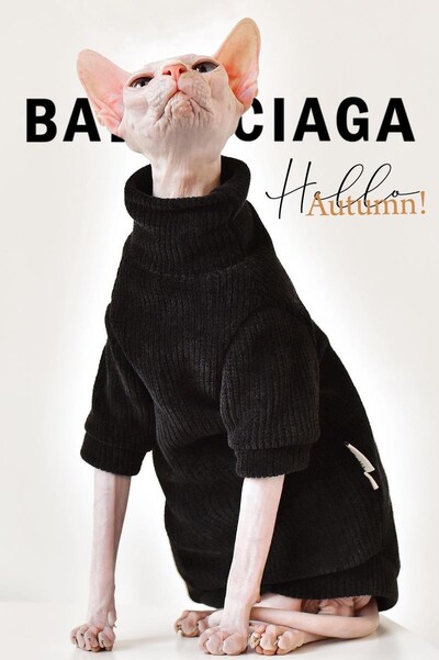 DUOMASUMI Elegant silts Sfinksa kaķu džemperis Fashion Kitty Kaila kaķu apģērbs Komforta ziemas kleita Sfinksa kaķu apģērbam