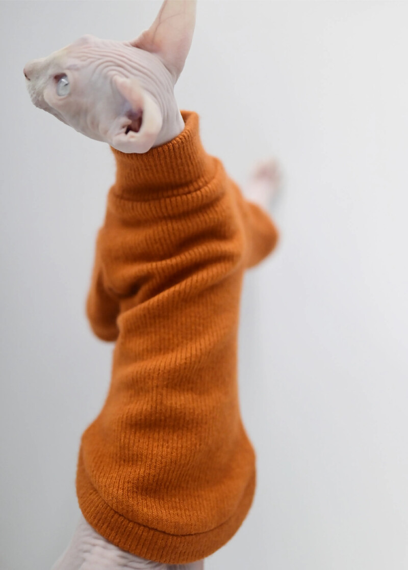 DUOMASUMI Elegant silts Sfinksa kaķu džemperis Fashion Kitty Kaila kaķu apģērbs Komforta ziemas kleita Sfinksa kaķu apģērbam