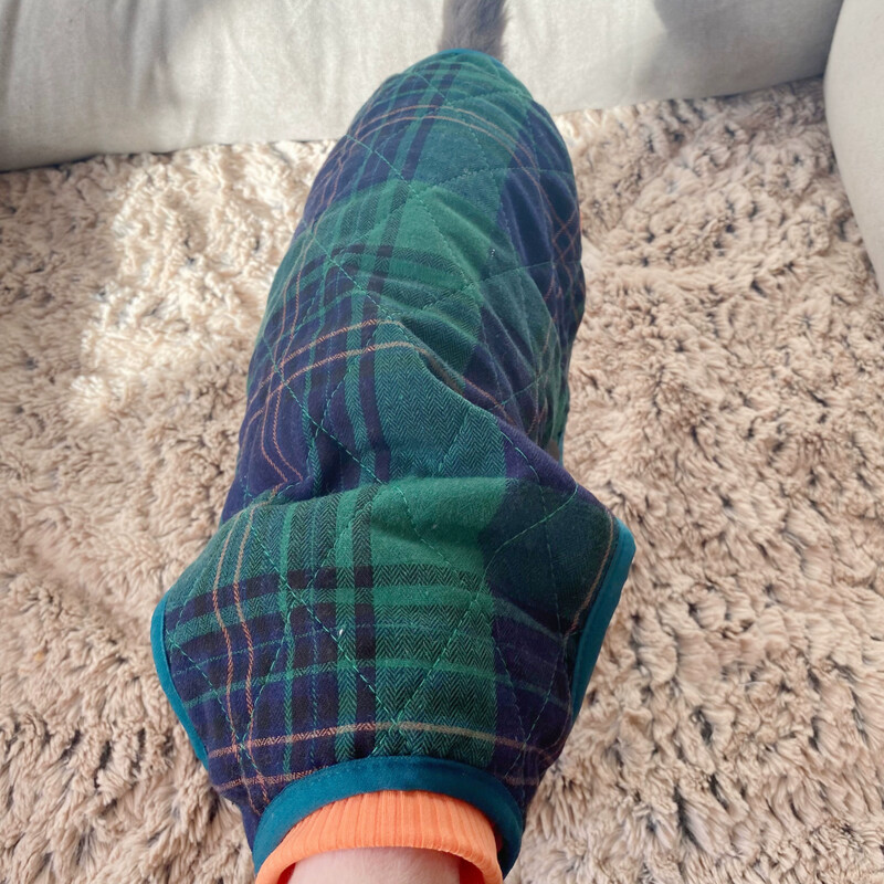 Ρούχα γάτας σε χειμωνιάτικο πράσινο καρό αμάνικο μπουφάν για γατάκια Ζεστό χοντρό παλτό για Sphynx Πουλόβερ Cat Fashion for Devon Rex