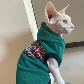 Téli kapucnis pulóver Sphyinx macska divatos zöld rövid ujjú polár betűkkel nyomó kabát cicáknak Hím macska ősszel