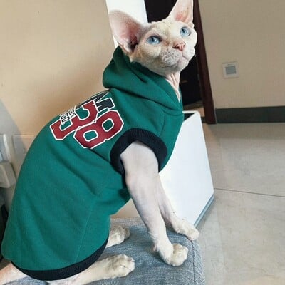Téli kapucnis pulóver Sphyinx macska divatos zöld rövid ujjú polár betűkkel nyomó kabát cicáknak Hím macska ősszel