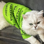 Factory Spot 2022, nova jesenska i zimska odjeća za kućne ljubimce, džemper za pse, zadebljana topla odjeća za mačke, teddy