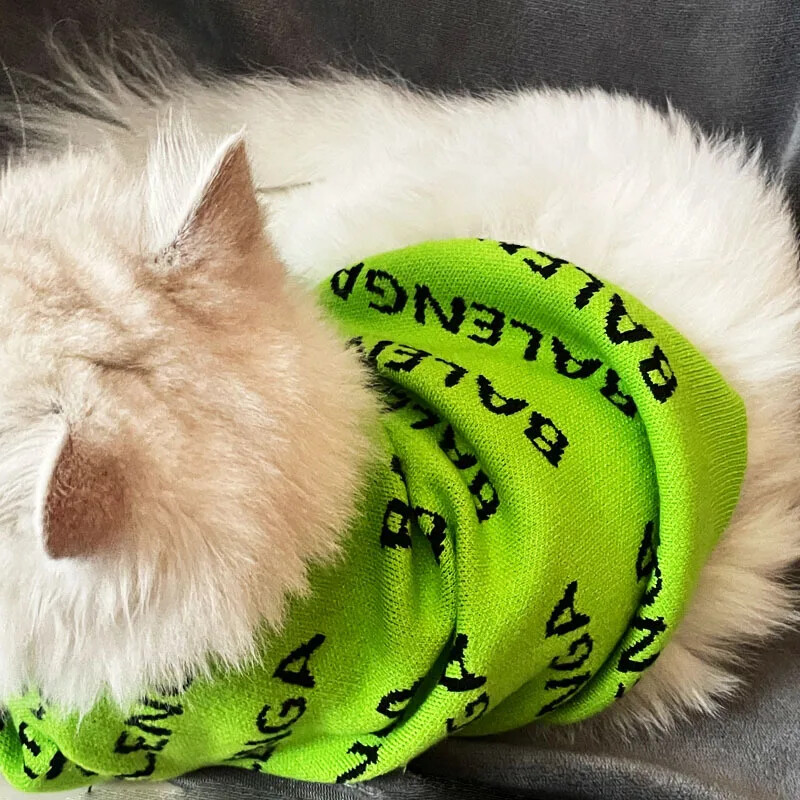 Factory Spot 2022, nova jesenska i zimska odjeća za kućne ljubimce, džemper za pse, zadebljana topla odjeća za mačke, teddy