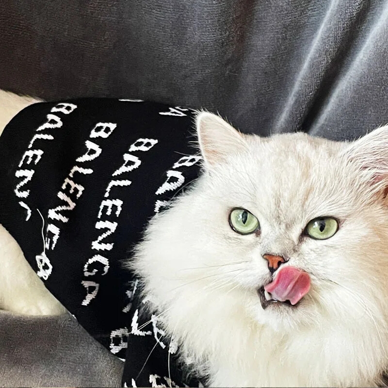 Factory Spot 2022, nova jesenska i zimska odjeća za kućne ljubimce, džemper za pse, zadebljana topla odjeća za mačke, teddy