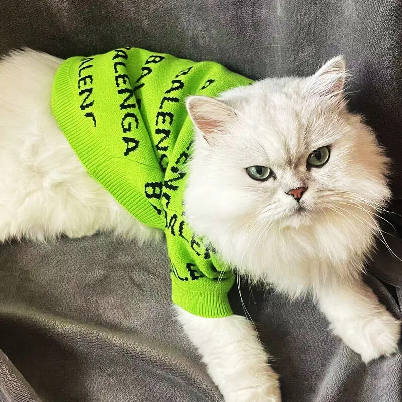 Factory Spot 2022, nova jesenska i zimska odjeća za kućne ljubimce, džemper za pse, zadebljana topla odjeća za mačke, teddy