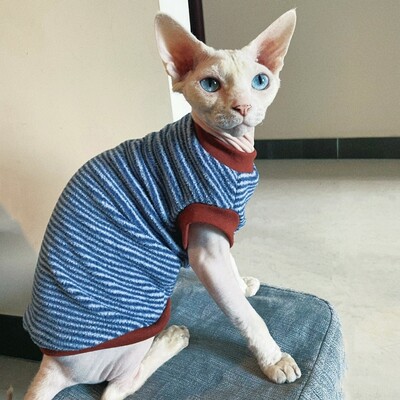 Μπλούζα Fleece για Sphynx Cat Ζεστό ριγέ πουλόβερ για γατάκια Αρσενικές γάτες κοντομάνικο μαλακό παλτό για Devon Rex Χειμερινή άνοιξη