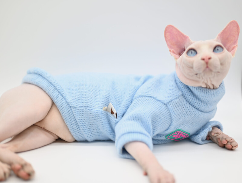 Sphynx Cat Clothes silts un mīksts kaķu džemperis bez matiem, Devonas kaķu apģērbs, Kornvolas kaķu apģērbs, Pētera kaķa apģērbs kaķu apģērbs