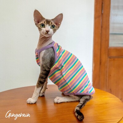 Rainbow Stripes Sfinksa kaķa apģērbs Vasaras luksusa mājdzīvnieku veste Kokvilnas kailais kaķēns bez piedurknēm krekls Devon Rex apģērbs sfinksai