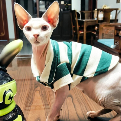 Moda Sphynx Cat Tricou polo de vară Dungi haine pentru animale de companie Îmbrăcăminte pentru pisici Gotas Garfield Cămăși de pisoi persan Mascote ținute