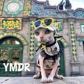 Modne plastične sunčane naočale za mačke za kućne ljubimce Slatko srce Sunčane naočale za sfinge Devon Rex Fotografije Rekviziti za mačje oči Nosite kućne ljubimce Weeding