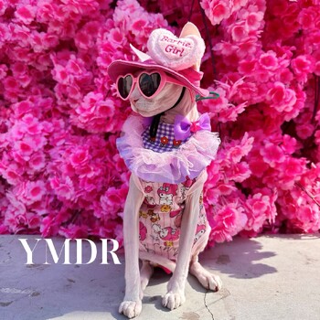 Fashion Plastic Pet Cat γυαλιά ηλίου Cute Heart Γυαλιά ηλίου για Sphynx Devon Rex Photos Props Cat Eye-Wear Pet Weeding