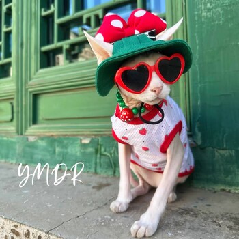 Fashion Plastic Pet Cat γυαλιά ηλίου Cute Heart Γυαλιά ηλίου για Sphynx Devon Rex Photos Props Cat Eye-Wear Pet Weeding