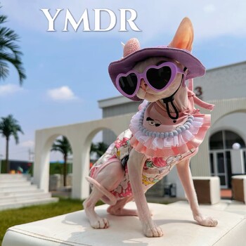 Fashion Plastic Pet Cat γυαλιά ηλίου Cute Heart Γυαλιά ηλίου για Sphynx Devon Rex Photos Props Cat Eye-Wear Pet Weeding