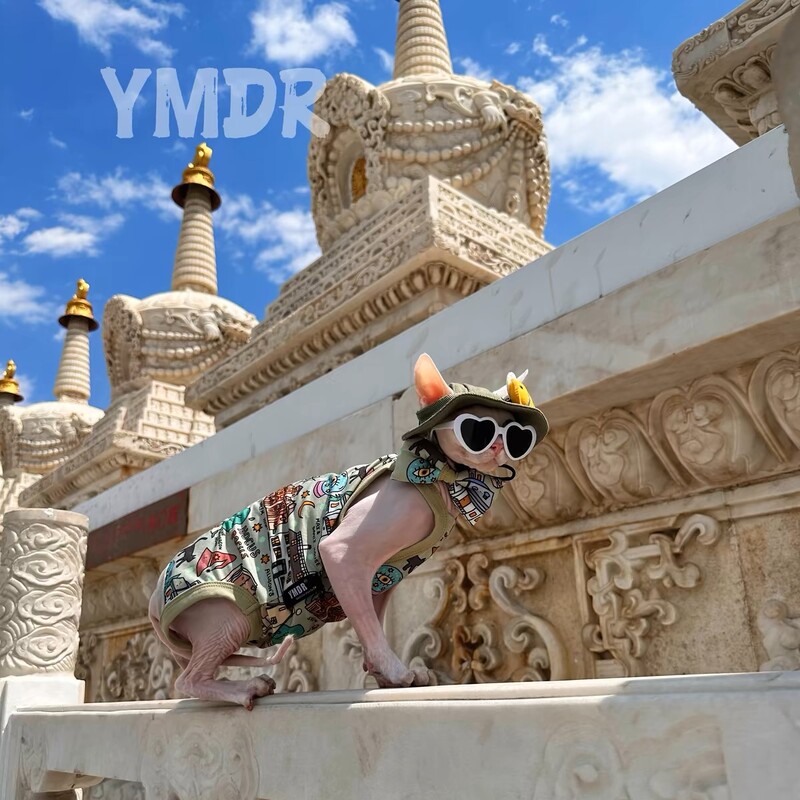 Modne plastične sunčane naočale za mačke za kućne ljubimce Slatko srce Sunčane naočale za sfinge Devon Rex Fotografije Rekviziti za mačje oči Nosite kućne ljubimce Weeding