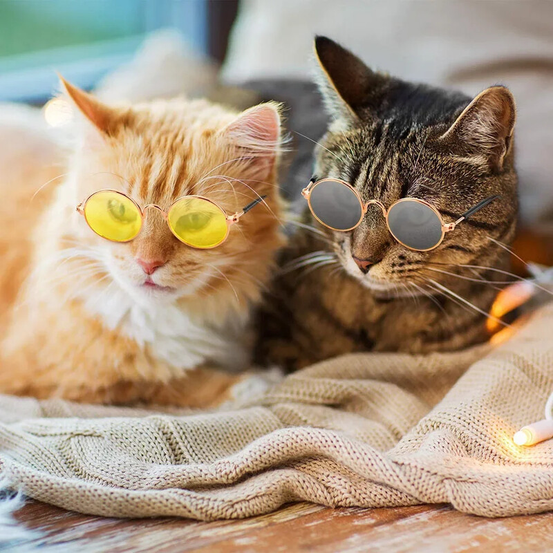 Ochelari de soare de pisică pentru câine Ochelari de soare amuzanți pentru animale de companie Ochelari de soare rotunzi de metal pentru pisici clasici retro cu centură anti-alunecare pentru costume de petrecere pentru animale de companie Rezisa foto