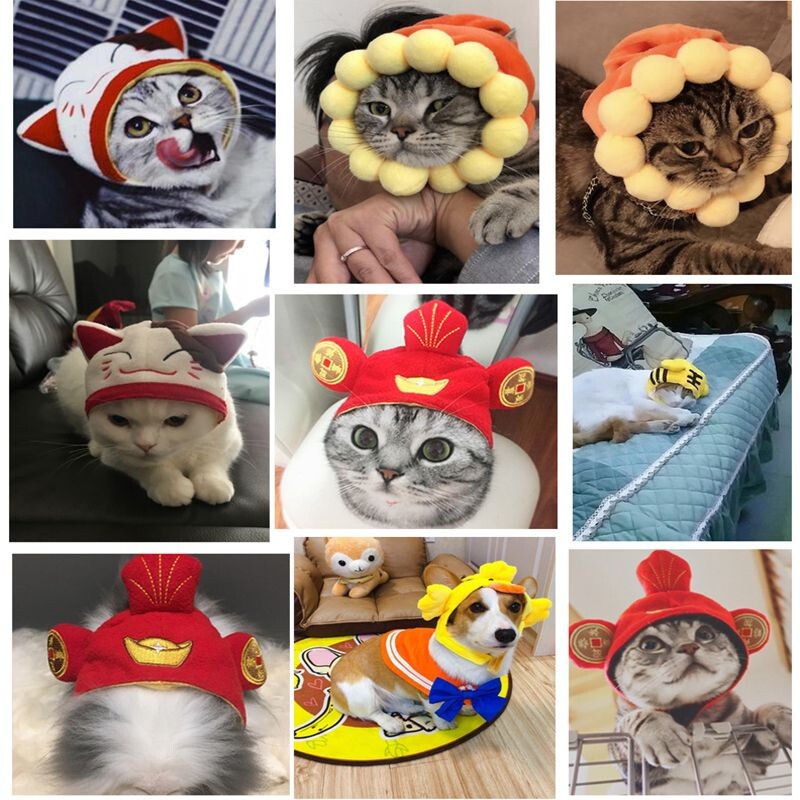 Halloween Funny Pet Cat Cap Costume Cald Iepure Pălărie Anul Nou Petrecere Pet Câine Crăciun Accesorii Cosplay Accesorii Fotografii Accesorii pentru cap