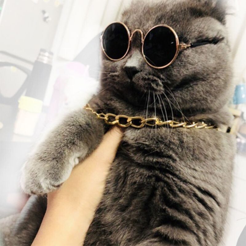Moda de vară ochelari de soare guler lanț pălărie de paie set de cravate accesorii amuzante pentru animale de companie pentru animalele de companie mici pentru pisică Pupp G2AB