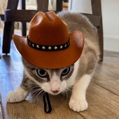 2024 New Dog Cowboy Hat Dogs Καπέλα για γάτες Ρυθμιζόμενα καπέλα Μόδα για μικρομεσαίους σκύλους Γάτες Αξεσουάρ για κατοικίδια