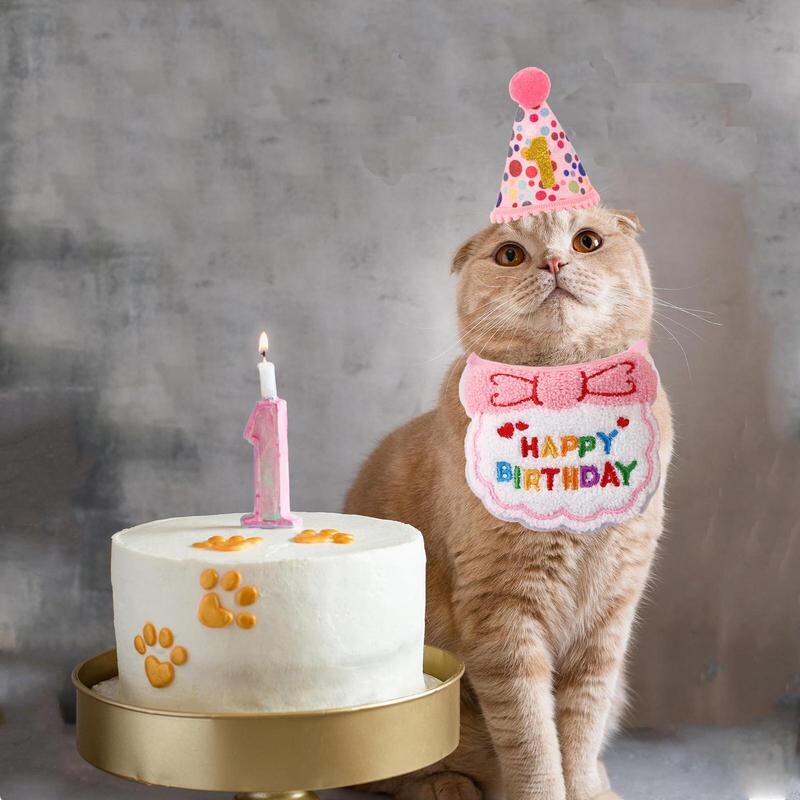 Pălărie de ziua de naștere a pisicii Mini pălărie de ziua de naștere a câinelui pentru pisici Îmbrăcăminte festivă drăguță pentru pisici Decorații de petrecere pentru pisici pentru animale de companie.