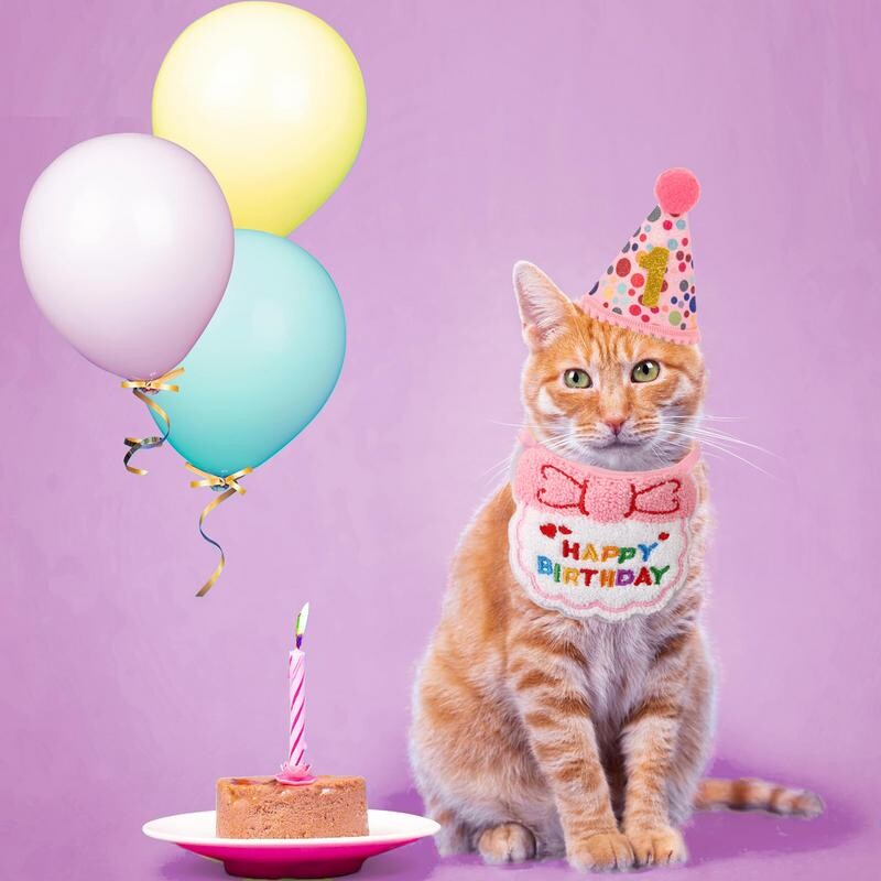 Pălărie de ziua de naștere a pisicii Mini pălărie de ziua de naștere a câinelui pentru pisici Îmbrăcăminte festivă drăguță pentru pisici Decorații de petrecere pentru pisici pentru animale de companie.