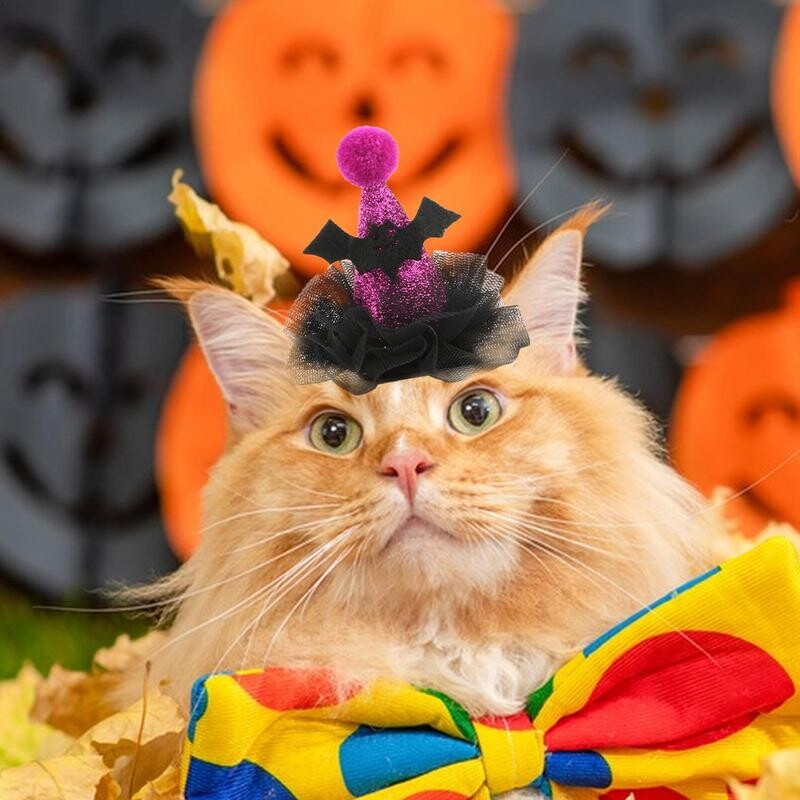 Halloweenske kostýmy pre mačky, elastická sieťovaná čiapka pre domáce zvieratá, farebné slávnostné kostýmy pre mačky, zábavné doplnky na hlavu na každodenné nosenie, hranie rolí