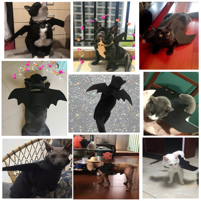 Pet Cat Halloween Ρούχα Αστεία στολή σκύλου Τεχνητό φτερό νυχτερίδας με καμπάνες Puppy Cosplay Prop Εξατομικευμένα ρούχα Προμήθειες για κατοικίδια