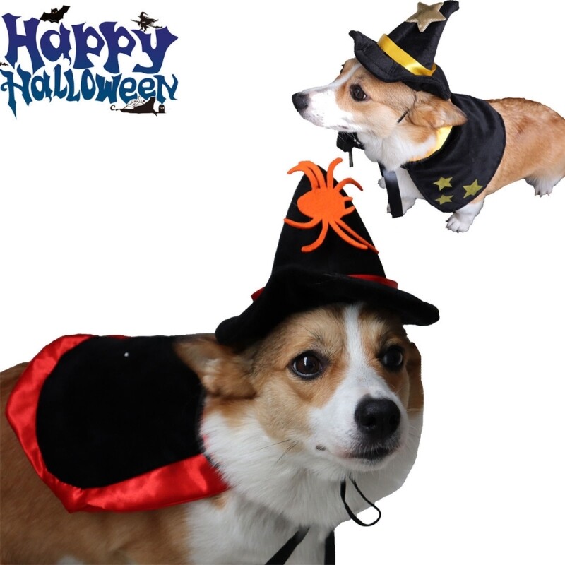 Mājdzīvnieku Helovīna kostīmu kostīms kaķu suņiem Mājdzīvnieku svētku ballīšu rekvizīti Raganu cepures apmetņa komplekts mājdzīvnieku kaķu apģērba foto rekvizīti