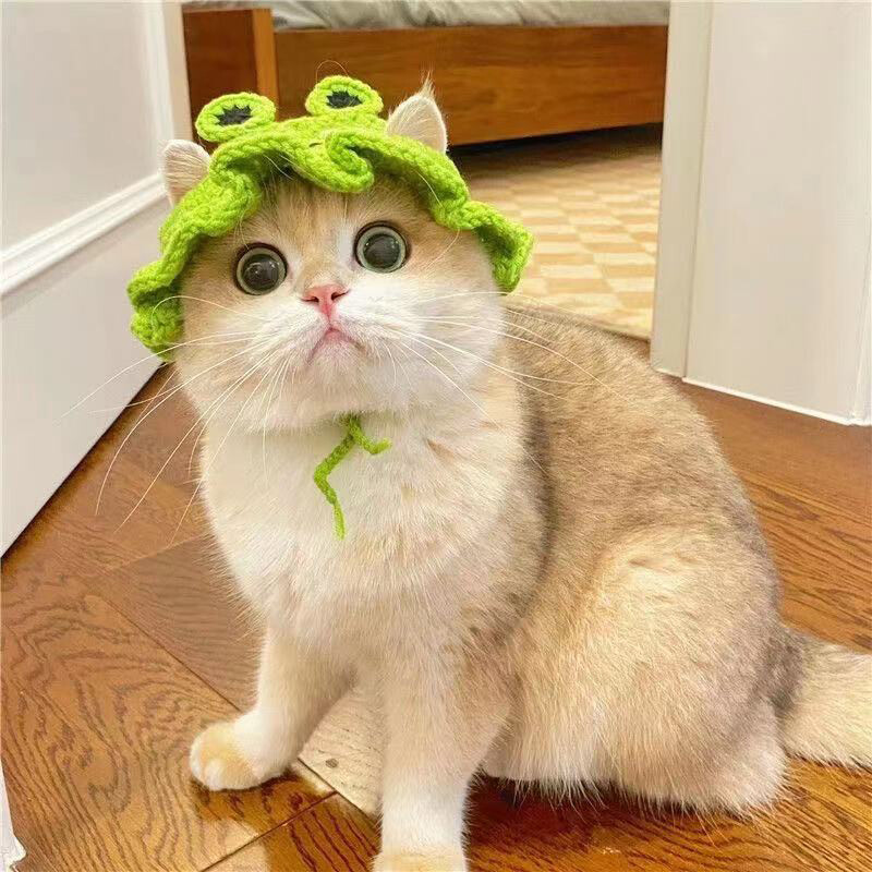 Kaķu cepure, elastīga, jauka un izsmalcināta mājdzīvnieku cepure, kucēna un kaķēna adīta cepure, ballīšu foto rekvizīti, dekoratīvi kaķu aksesuāri