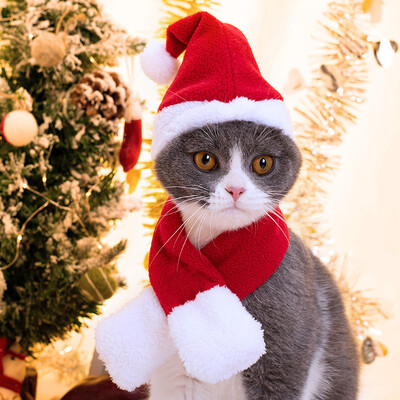 Ornamente drăguțe de Crăciun pentru animale de companie, iarnă, pluș, pălărie de Crăciun, eșarfă, accesorii pentru cap, pisici, câini, Moș Crăciun, costum de revelion, accesorii pentru animale de companie
