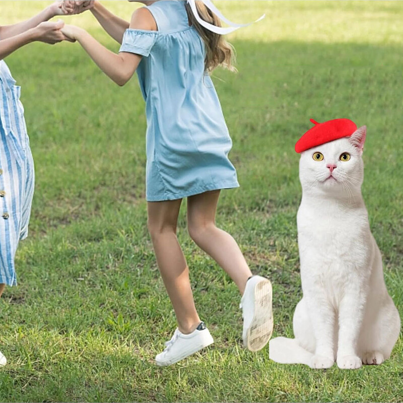 Pas, mačka, beretka, vunena dvorišna kapa s podesivom elastičnom trakom ispod brade, pranje ruku, preporuka, modni božićni kostim za kućne ljubimce