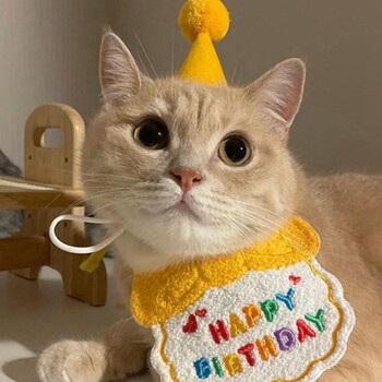 Ins Cat Doy Dress Up For Birthday Party Hat Bib Dog Cat Pet Cloth Cute Birthday Bib Шапки за котки Подпори за фотография