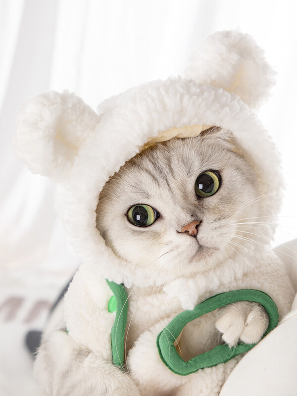 Pălării pentru pisici, reglabilă, moale, pentru animale de companie mici, pălărie de urs, pentru bonetă pentru pisici, festival de cosplay, petrecere tematică, prop foto