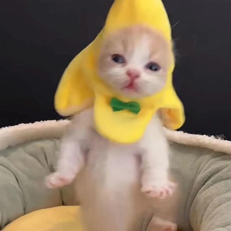 Căciulă pentru animale de companie Pălărie ușoară de pisică Pălărie de pisică Adorabilă pălărie pentru animale de companie în formă de banană cu fundă Accesoriu pentru costum pentru animale de companie.
