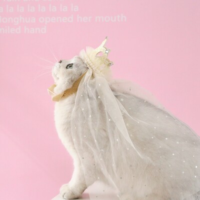 Mājas kaķis kāzas princese kronis Kāzu plīvurs kaķis suns līgavas vizulis mežģīnes pērles galvassegas suns kāzu ballītes matu aksesuāri