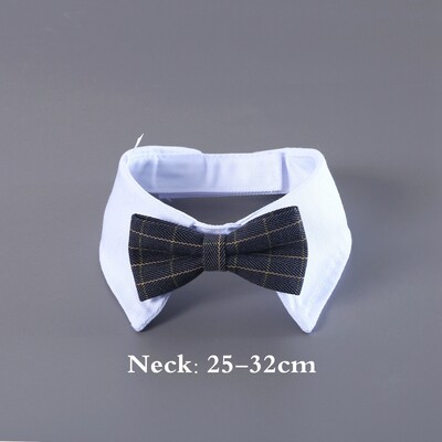 Mājas kaķis kāzas princese kronis Kāzu plīvurs kaķis suns līgavas vizulis mežģīnes pērles galvassegas suns kāzu ballītes matu aksesuāri