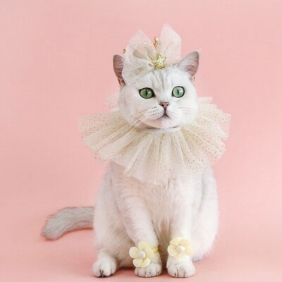 Mājas kaķis kāzas princese kronis Kāzu plīvurs kaķis suns līgavas vizulis mežģīnes pērles galvassegas suns kāzu ballītes matu aksesuāri