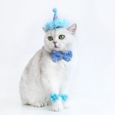 Mājas kaķis kāzas princese kronis Kāzu plīvurs kaķis suns līgavas vizulis mežģīnes pērles galvassegas suns kāzu ballītes matu aksesuāri