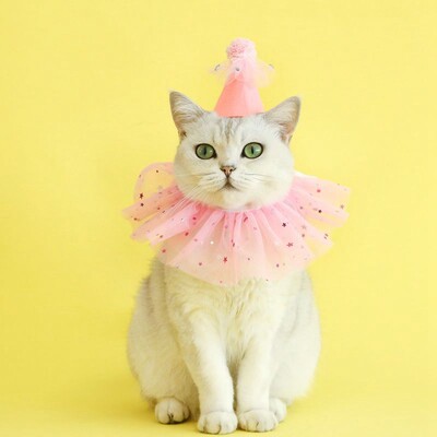 Mājas kaķis kāzas princese kronis Kāzu plīvurs kaķis suns līgavas vizulis mežģīnes pērles galvassegas suns kāzu ballītes matu aksesuāri