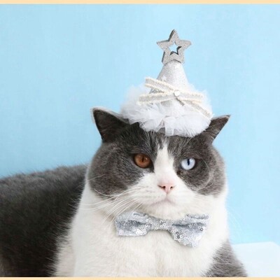 Mājas kaķis kāzas princese kronis Kāzu plīvurs kaķis suns līgavas vizulis mežģīnes pērles galvassegas suns kāzu ballītes matu aksesuāri