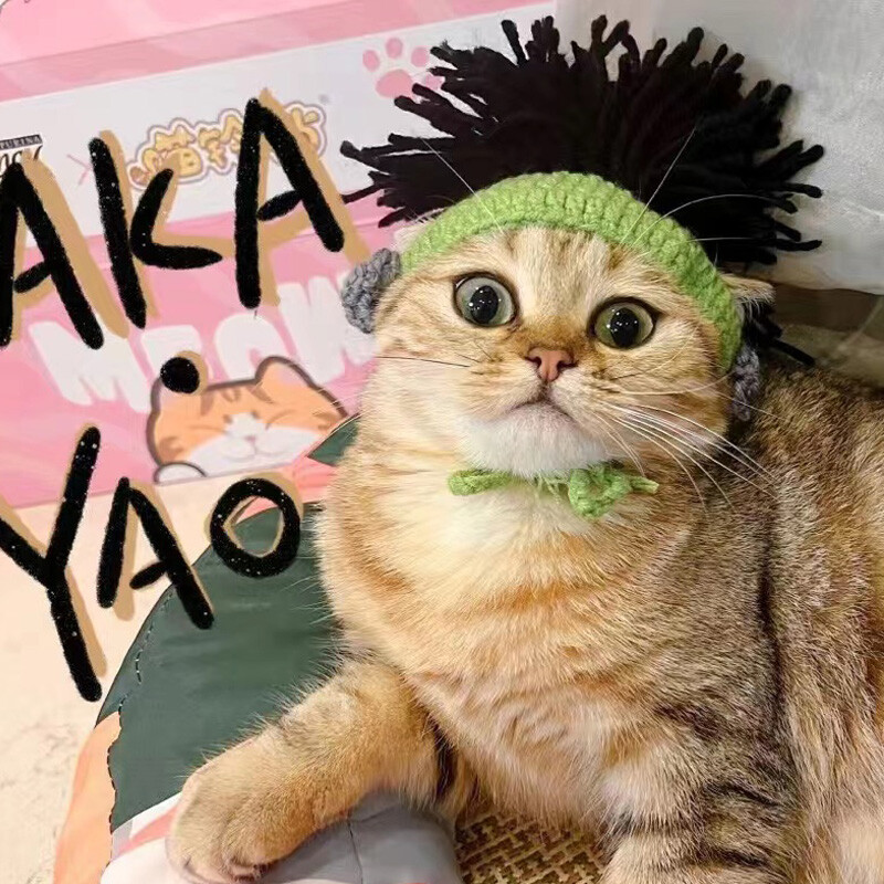 Zimska elastična pamučna punk mačja kapa s rupama za uši Profinjena pletena kapa za kućne ljubimce za Sfinge Sfinge Bezdlake mačke Mačiće DevonRex