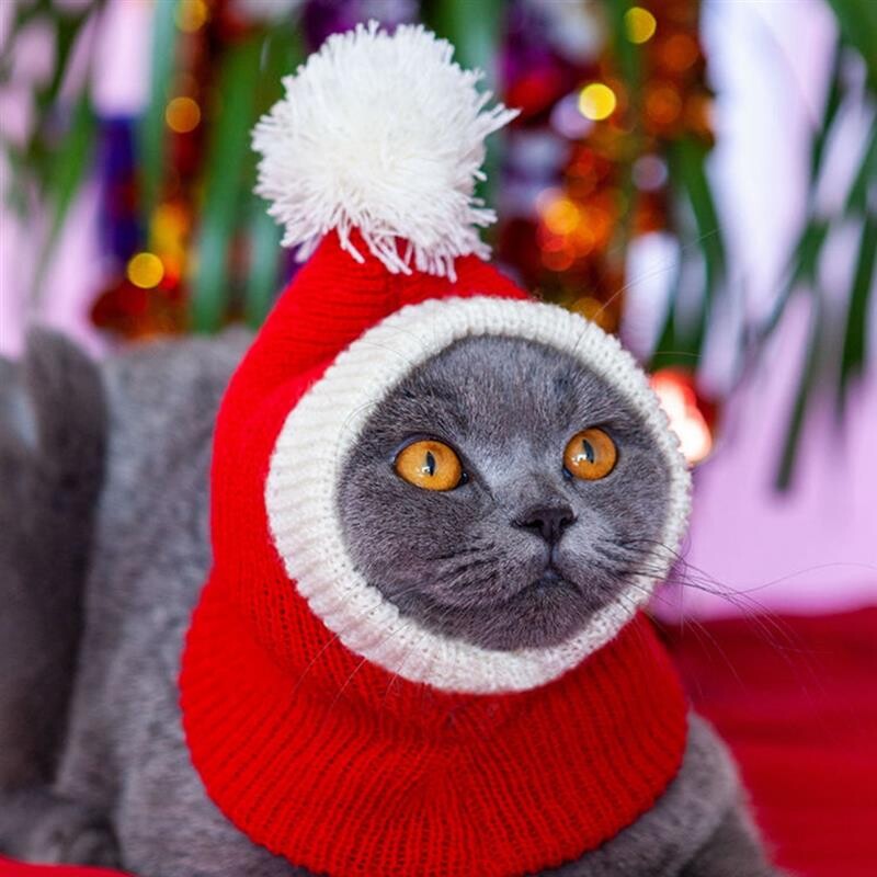 Kapmore 1db karácsonyi macskakalap kötött dekoratív meleg kutyasapka cica téli sapka újévhez kisállat kellékek kisállat kiegészítők