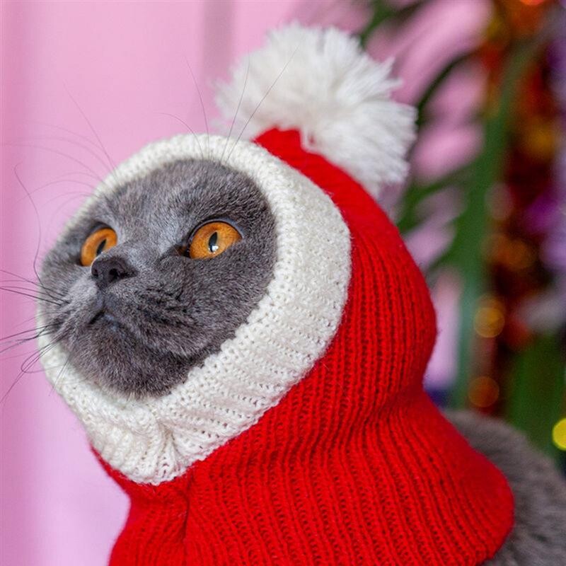 Kapmore 1db karácsonyi macskakalap kötött dekoratív meleg kutyasapka cica téli sapka újévhez kisállat kellékek kisállat kiegészítők