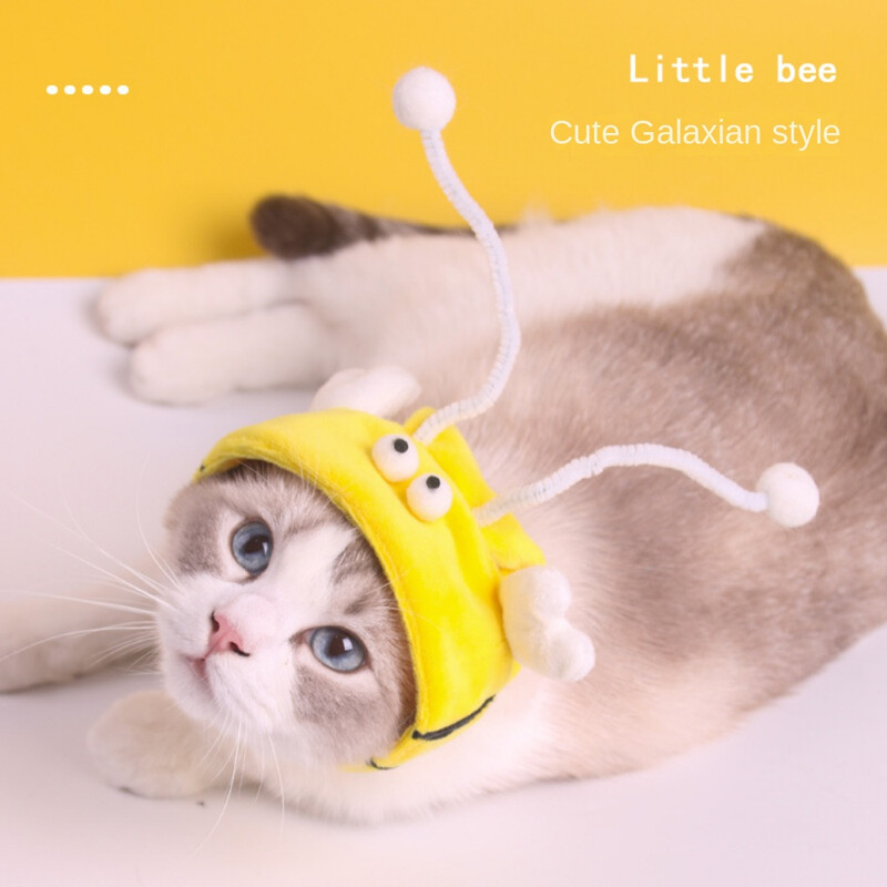Mājdzīvnieka kostīms Galvas apģērbs ķircināt kaķa nūju Mazā bite Briesmonis kaķa suņa galvassega Jauka pārveidošanās cepure galvassega accesorios para