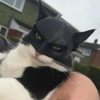 TONG Нови 5 размера Cat Bat Cool Man Mask Cat Avenger Mask Cute Bat Mask Pet Superhero Hat Cat Bat Cool Man Mask for Cat and Dogs