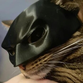 TONG Нови 5 размера Cat Bat Cool Man Mask Cat Avenger Mask Cute Bat Mask Pet Superhero Hat Cat Bat Cool Man Mask for Cat and Dogs