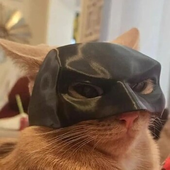 TONG Нови 5 размера Cat Bat Cool Man Mask Cat Avenger Mask Cute Bat Mask Pet Superhero Hat Cat Bat Cool Man Mask for Cat and Dogs