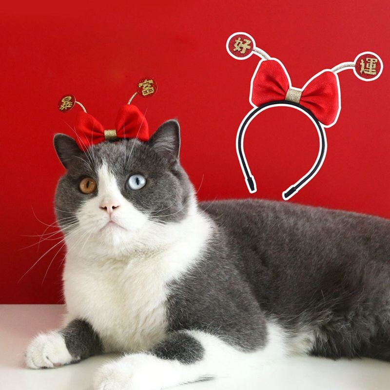 Kaķu aksesuāri Ballīte Kaķa galvassega Apģērba kucēns Matu lente Suņu Saģērbt Cepure Mājdzīvnieku Matu Aksesuāri Taurītis Suns Bowknot Pet matu stīpa