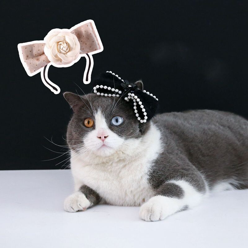 Kaķu aksesuāri Ballīte Kaķa galvassega Apģērba kucēns Matu lente Suņu Saģērbt Cepure Mājdzīvnieku Matu Aksesuāri Taurītis Suns Bowknot Pet matu stīpa