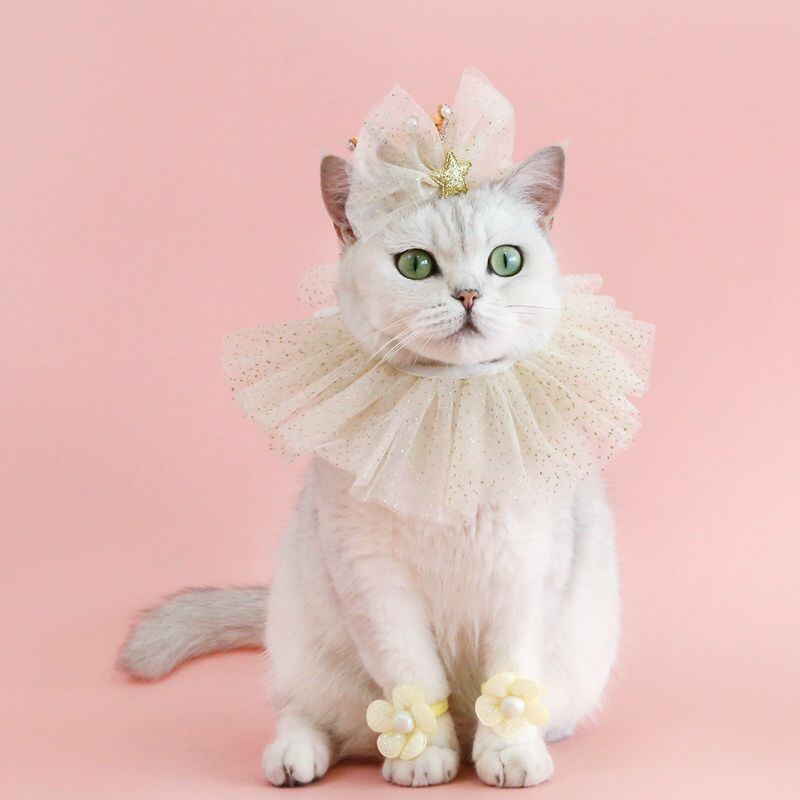 Mājas kaķa dzimšanas dienas ballītes cepures komplekts suņu cepures bantīte mežģīnes kaķa priekšgals, jauks mazs, vidējs suņu kostīms, cepure Mājdzīvnieku izstrādājumi kucēnu aksesuāri